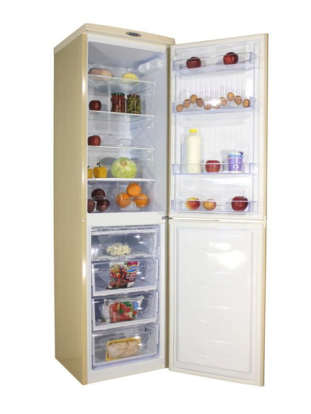 Холодильник DON R-297 ZF (золотой цветок)